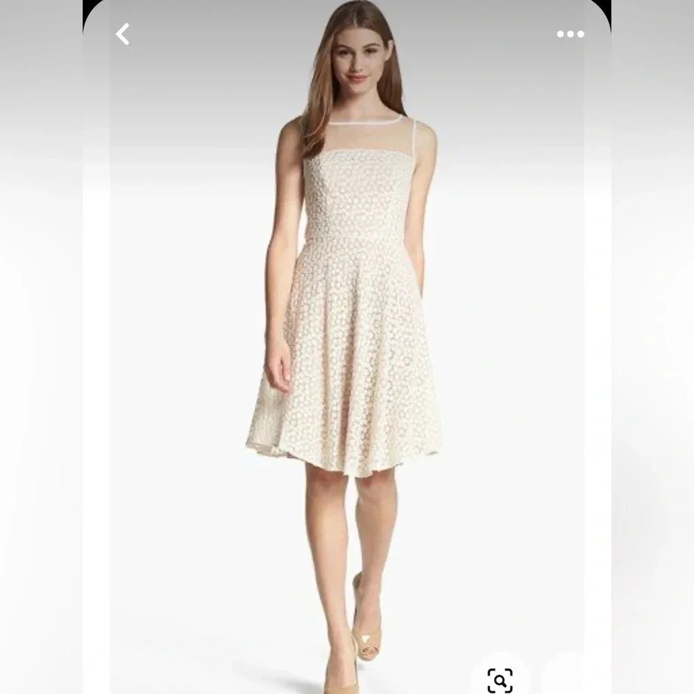 Adrianna Papell Floral Embroidered Cream Fit and Flare Dress Size 6